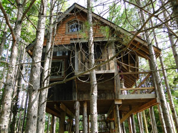 Awesome tree house built in the woods