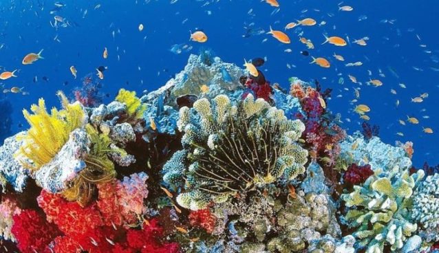 Reef 2050 Long-Term Sustainability Plan