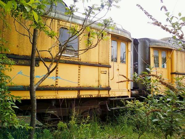 Abandoned train transformed into a bookstore