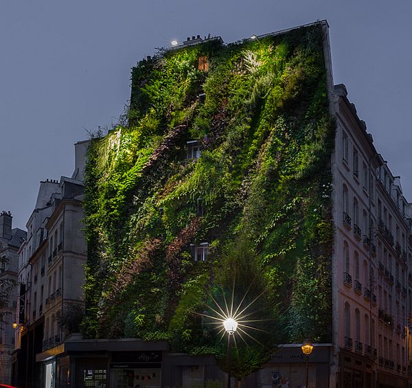 Oasis of Aboukir Vertical Garden by Patrick Blanc 