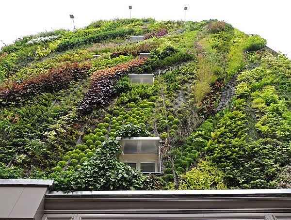 Oasis of Aboukir Vertical Garden by Patrick Blanc 