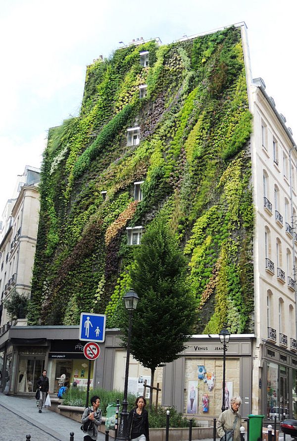 Oasis of Aboukir Vertical Garden by Patrick Blanc 