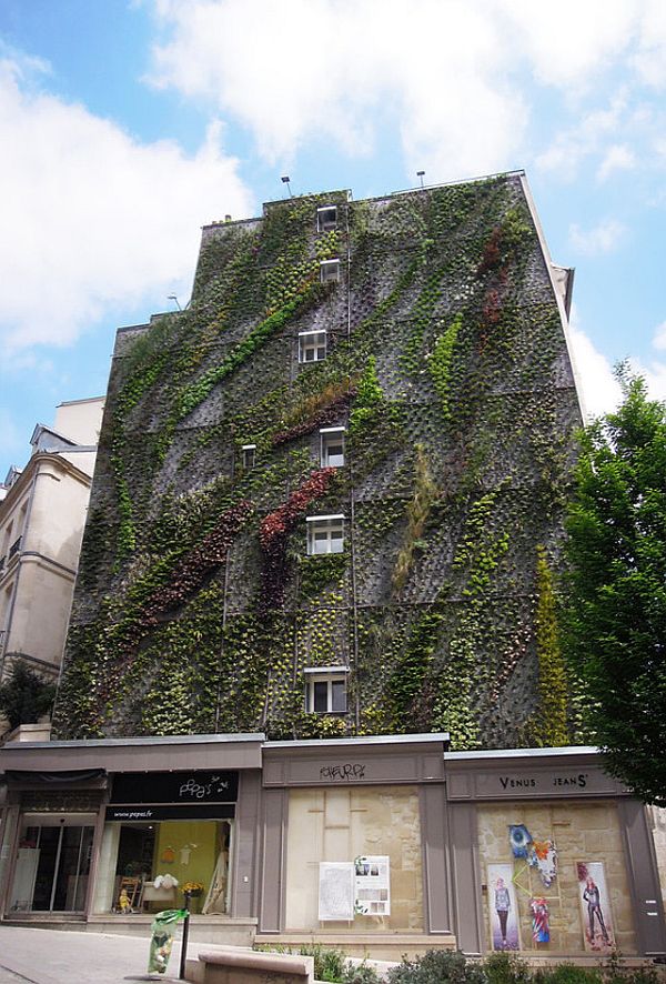 Oasis of Aboukir Vertical Garden by Patrick Blanc 