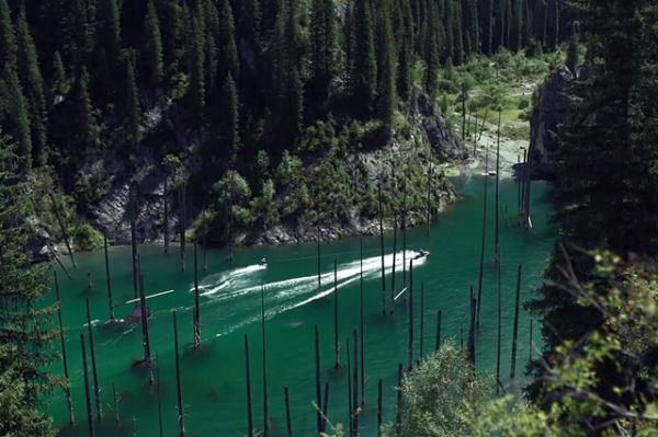 Wakeboarding Eco-Park