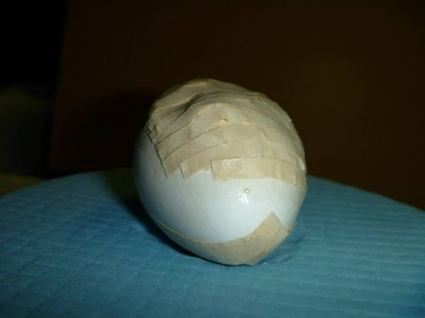 Crushed bird egg revived