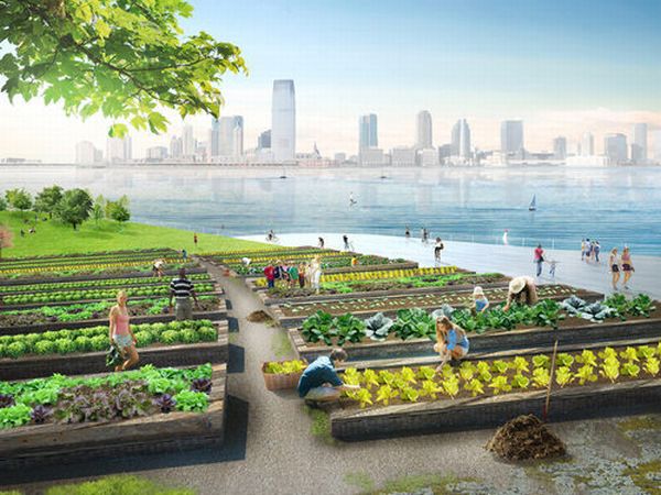 Green Loop Compost Island A green space and solution to NYC’s organic waste   4