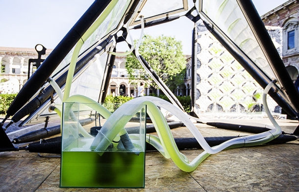 The Urban Algae Canopy by ecoLogicStudio  5