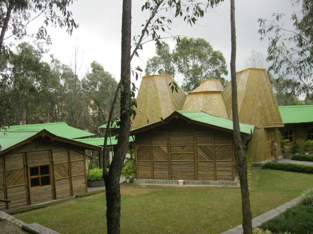 Bamboo production