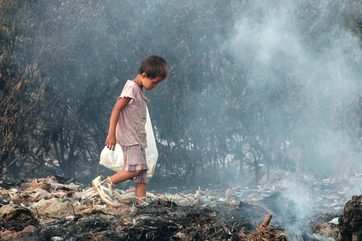 Environmental Photographer Of The Year 2015 28