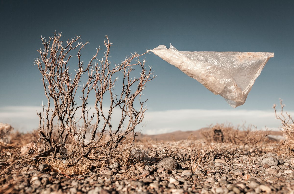 Environmental Photographer Of The Year 2015 45