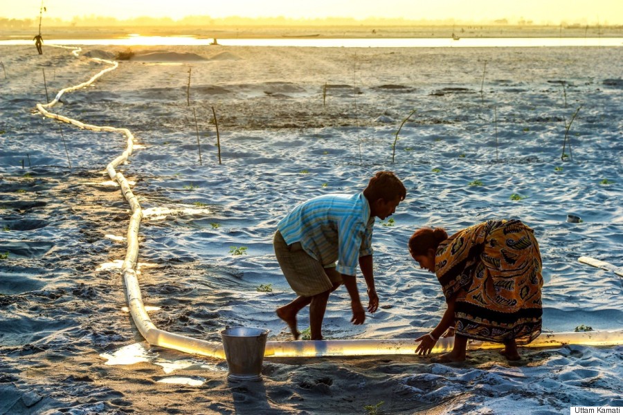 Environmental Photographer Of The Year 2015