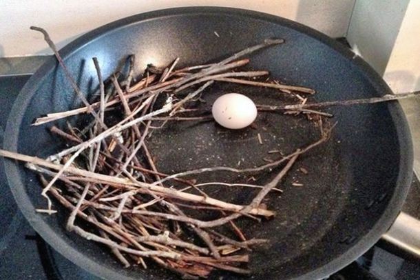 Pigeon-egg in fying pan