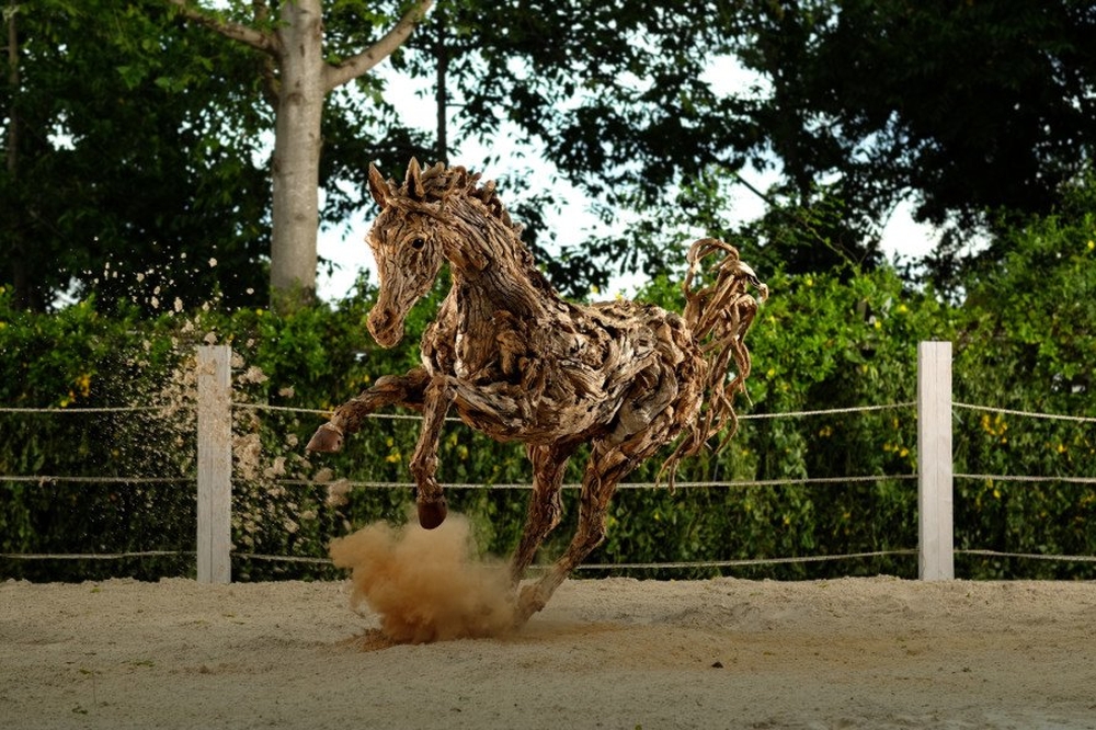 Driftwood Sculptures James Doran-Webb