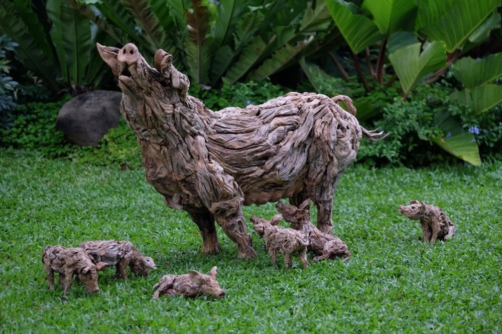 Driftwood Sculptures James Doran-Webb