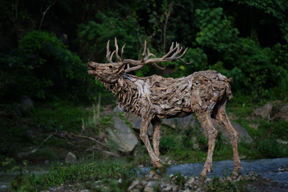 Driftwood Sculptures James Doran-Webb