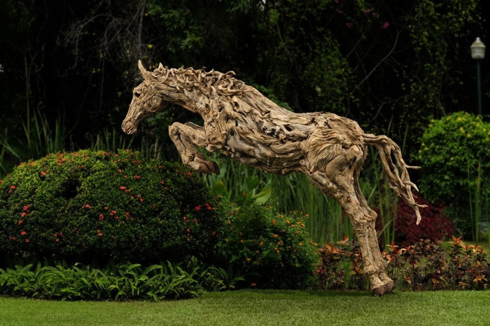 Driftwood Sculptures James Doran-Webb