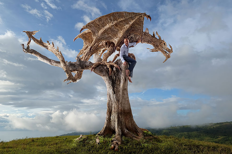 Driftwood dragons by James Doran-Webb 2
