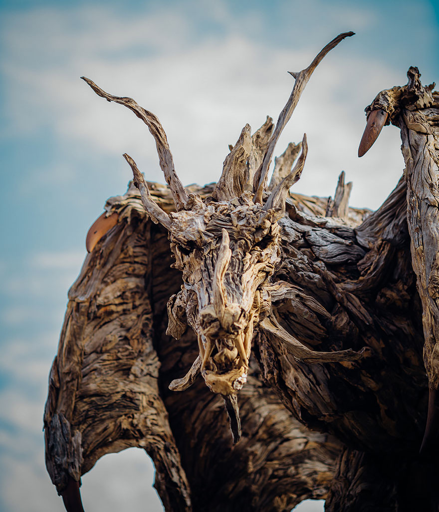 Driftwood dragons by James Doran-Webb