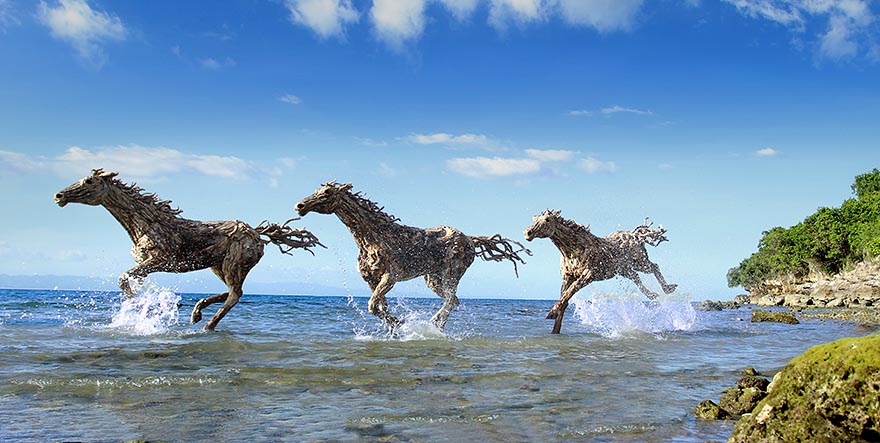 Driftwood hosres by James Doran-Webb 2