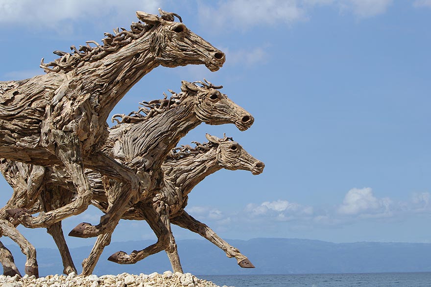 Driftwood hosres by James Doran-Webb