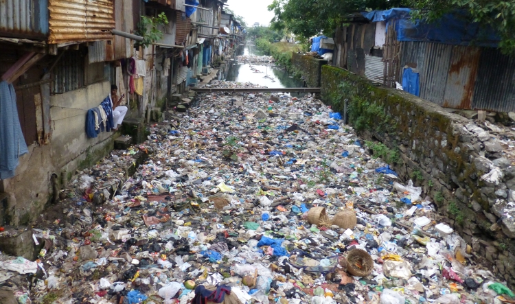 Indian sanitary waste disposal
