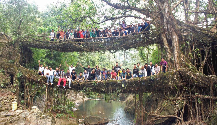 cherrapunji root bridges