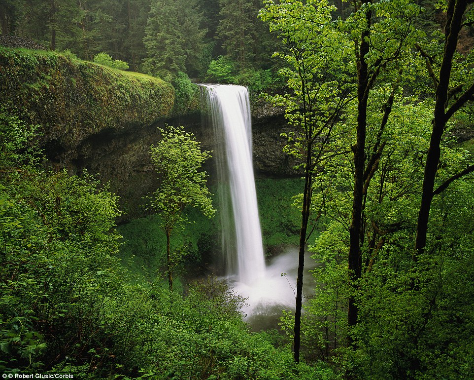 Silver Falls in Oregon, USA