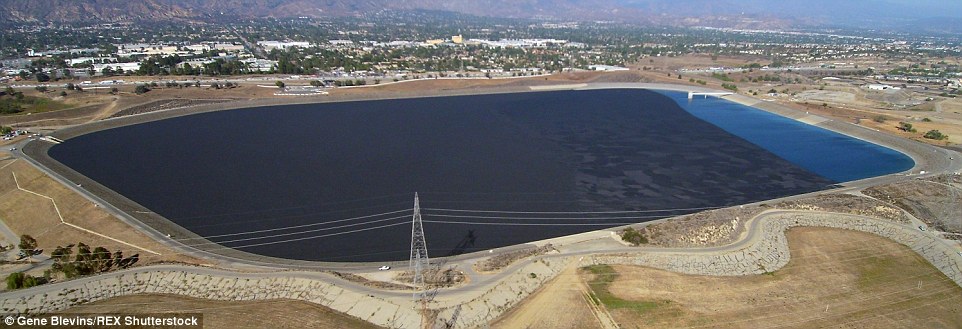 Silver lake reservoir los angeles 6