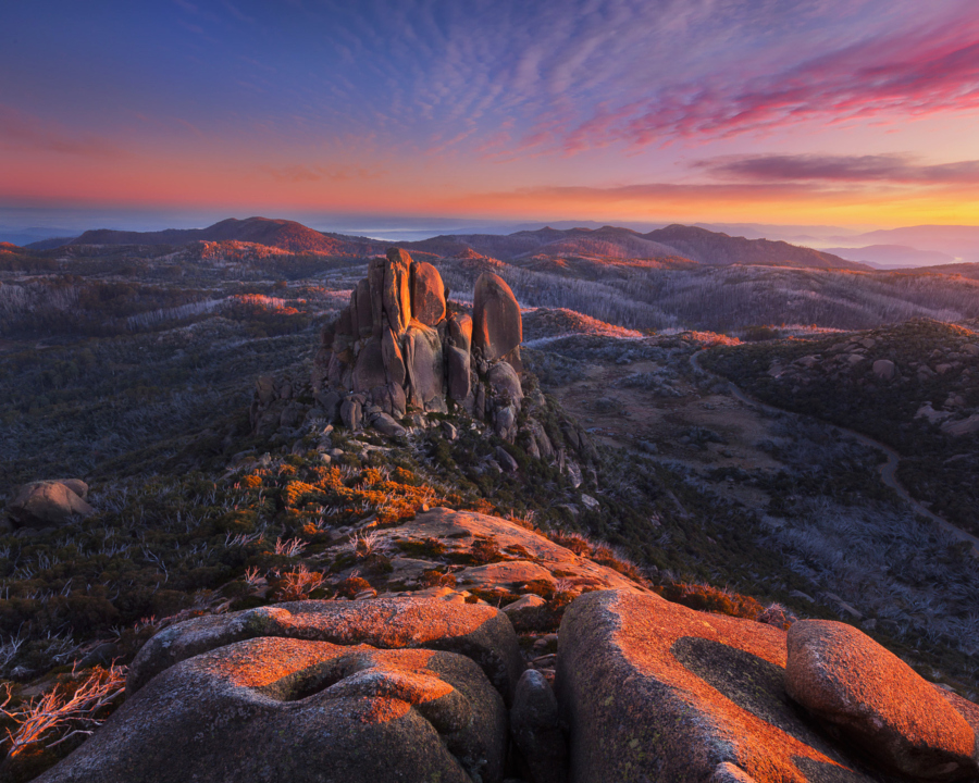 The Launch by Dylan Toh & Marianne Lim