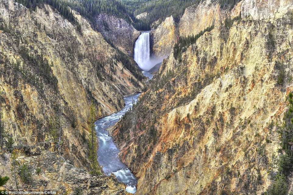 The Lower Yellowstone Falls in Yellowstone National Park in Wyoming, USA