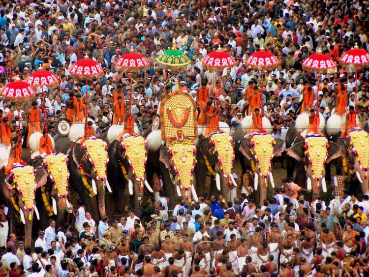 elephant festival kerala