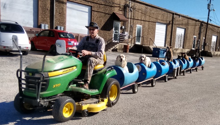 Man builds dog train