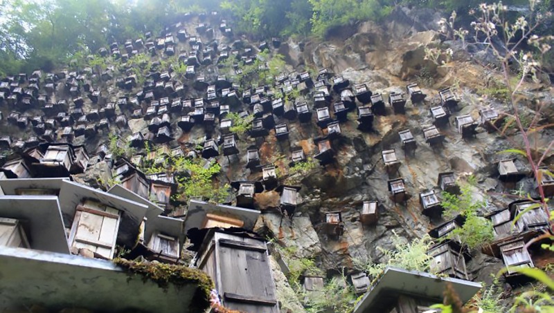 Shennongjia forestry reserve beehives 7