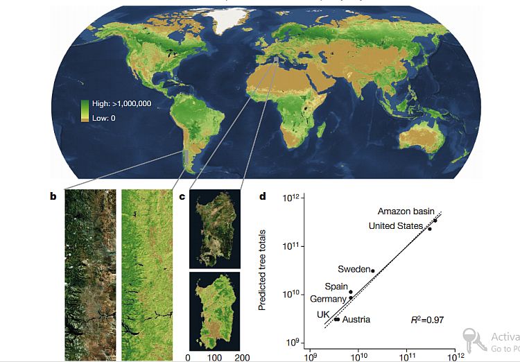 Tree Census 2015