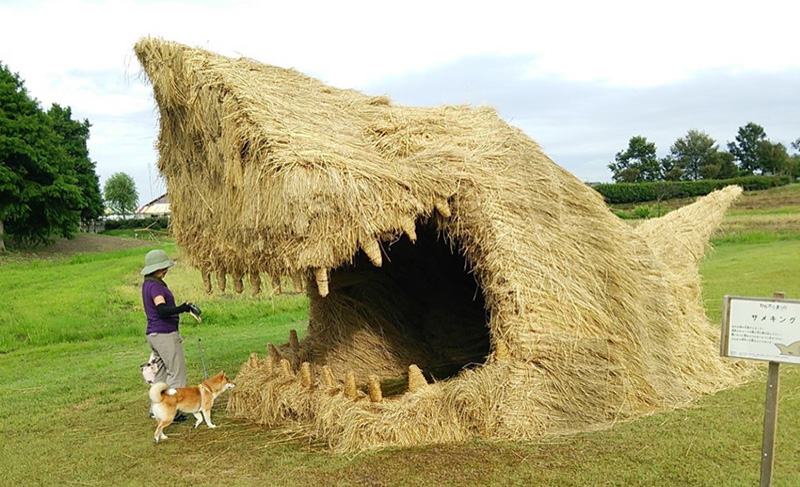 Wara art festival japan