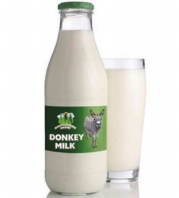 donkey-milk