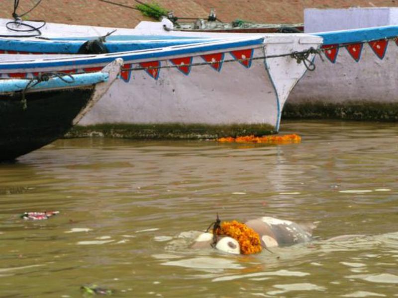 A floating rotten corpse