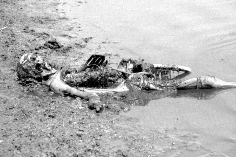 A rotting body on the banks of the Ganges River