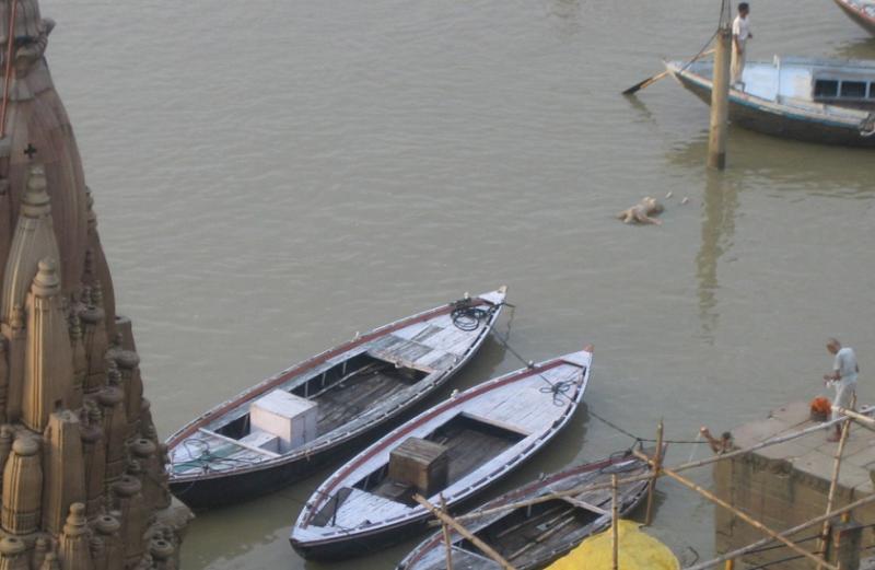 Bathing in the corpse-filled Ganges! 4