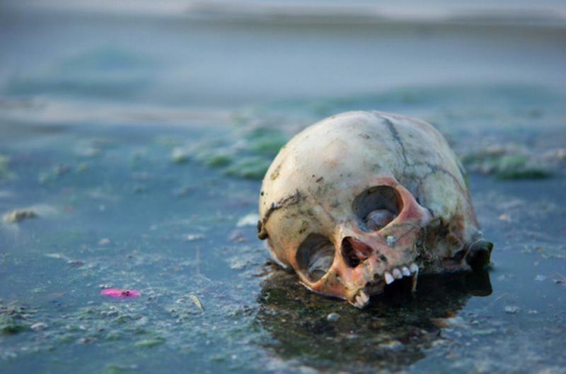 Bathing in the corpse-filled Ganges 5