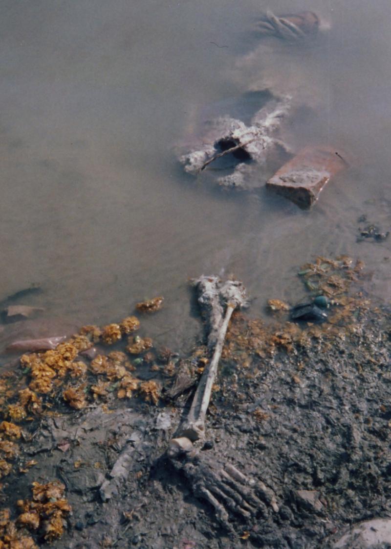 Corpses on the Ganges River, giving off an offensive rotting stench 2