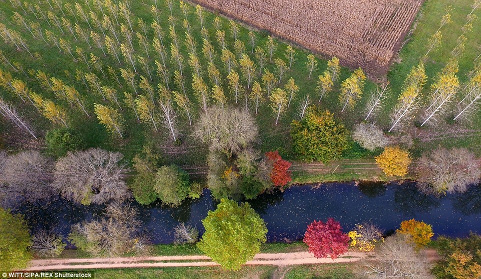 Lithuania autmun drone footage 0