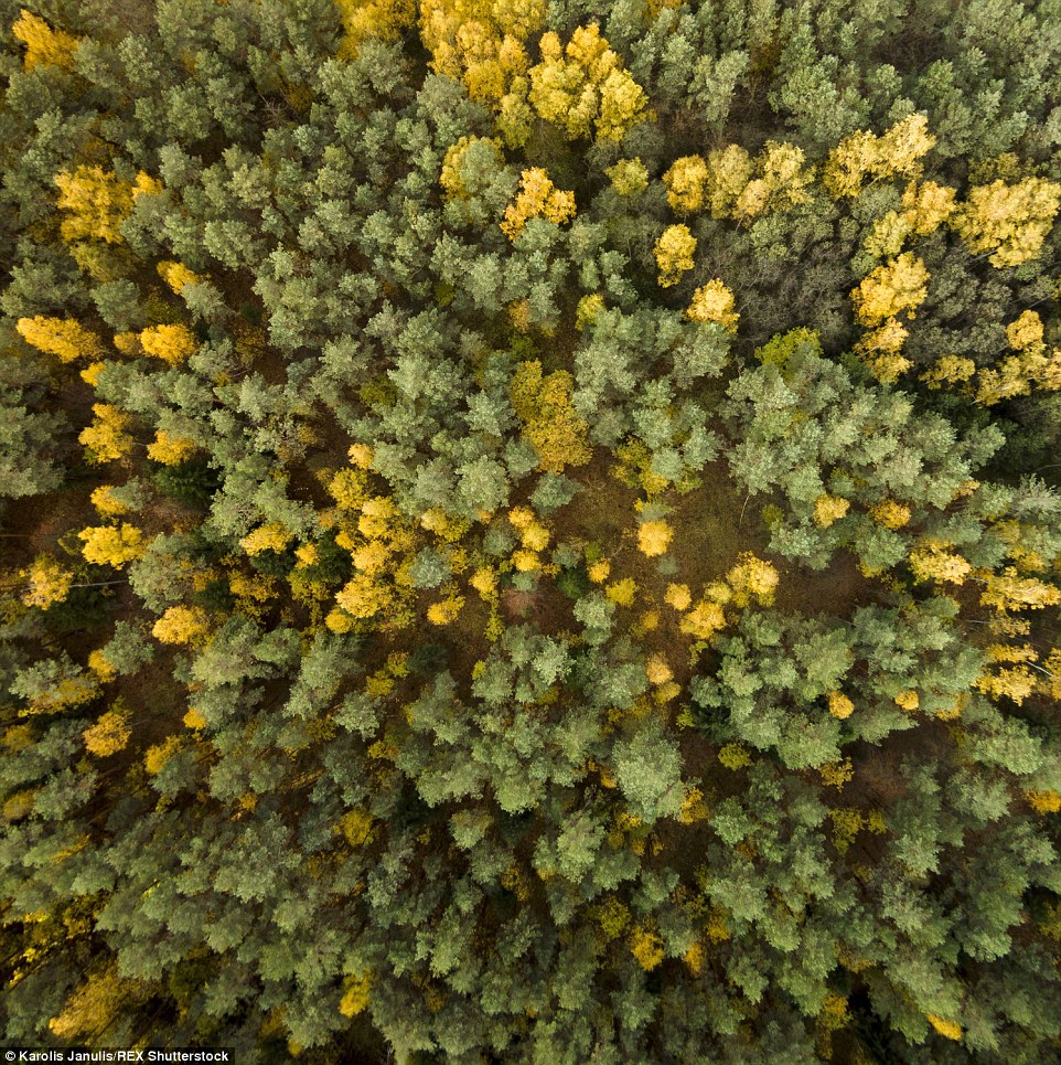 Lithuania autmun drone footage 10