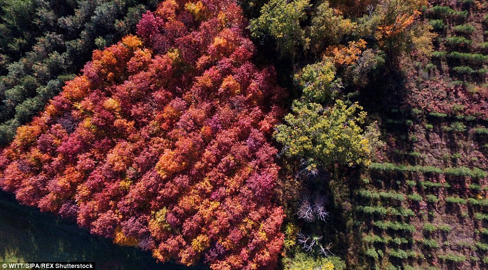 Lithuania autmun drone footage 14