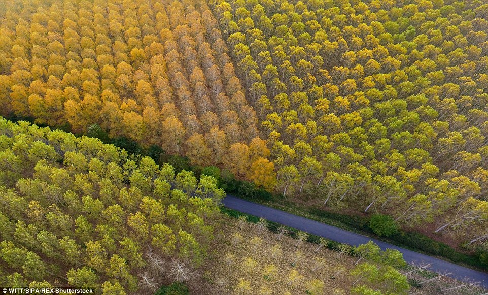 Lithuania autmun drone footage 15