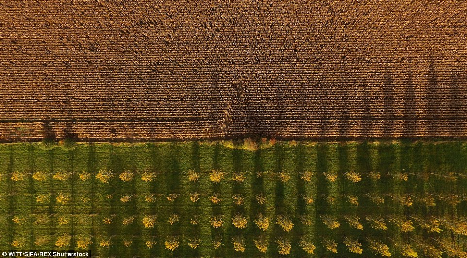 Lithuania autmun drone footage 17