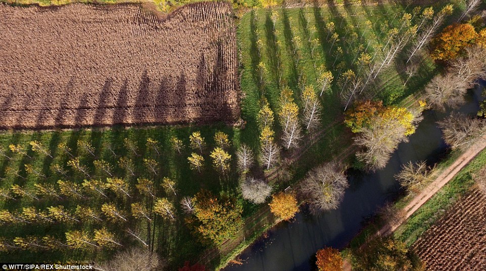 Lithuania autmun drone footage 19