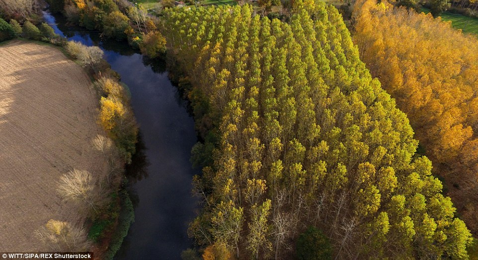 Lithuania autmun drone footage 21