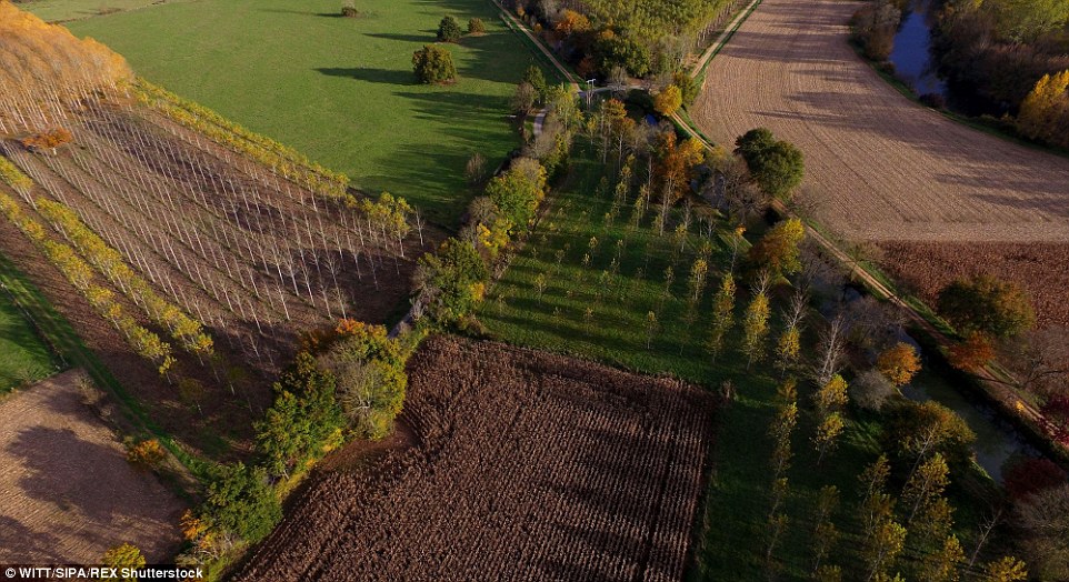 Lithuania autmun drone footage 22