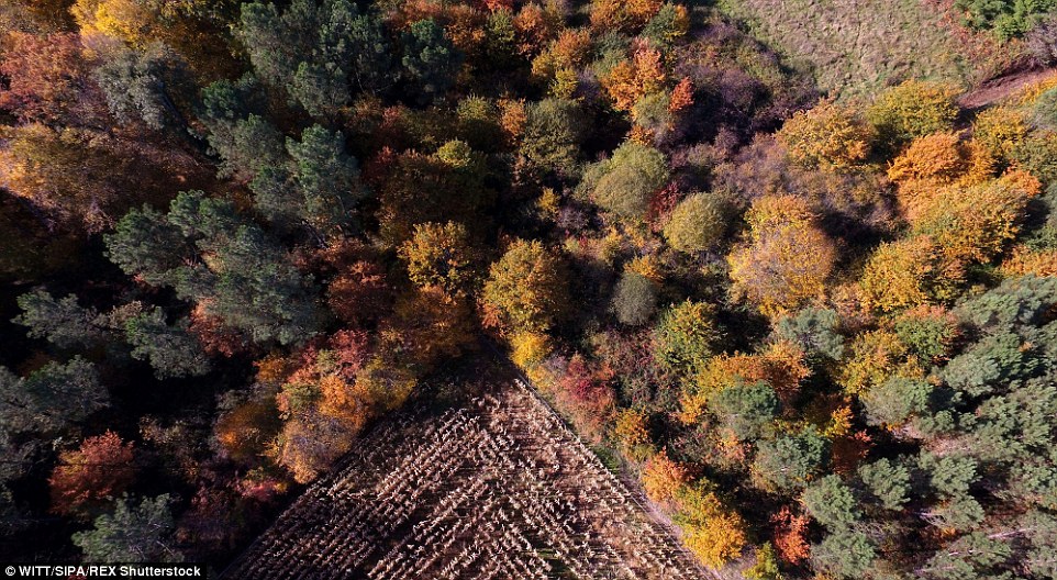 Lithuania autmun drone footage 23